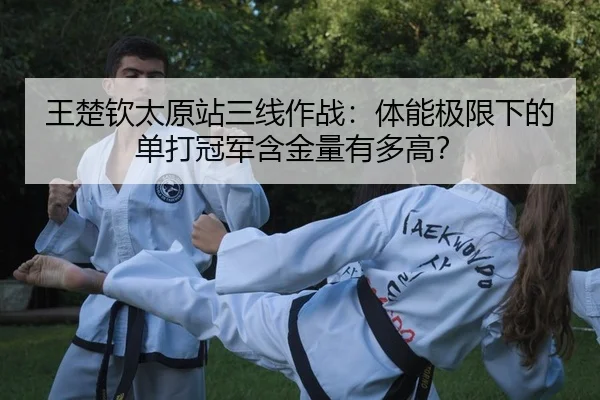 wang-chu-qin-tai-yuan-zhan-san-xian-zuo-zhan-ti-neng-ji-xian-xia-de-dan-da-guan-jun-han-jin-liang-you-duo-gao-2-522.jpg